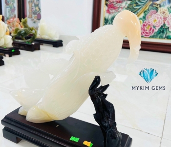 Bắp Ngô Ngọc Onyx